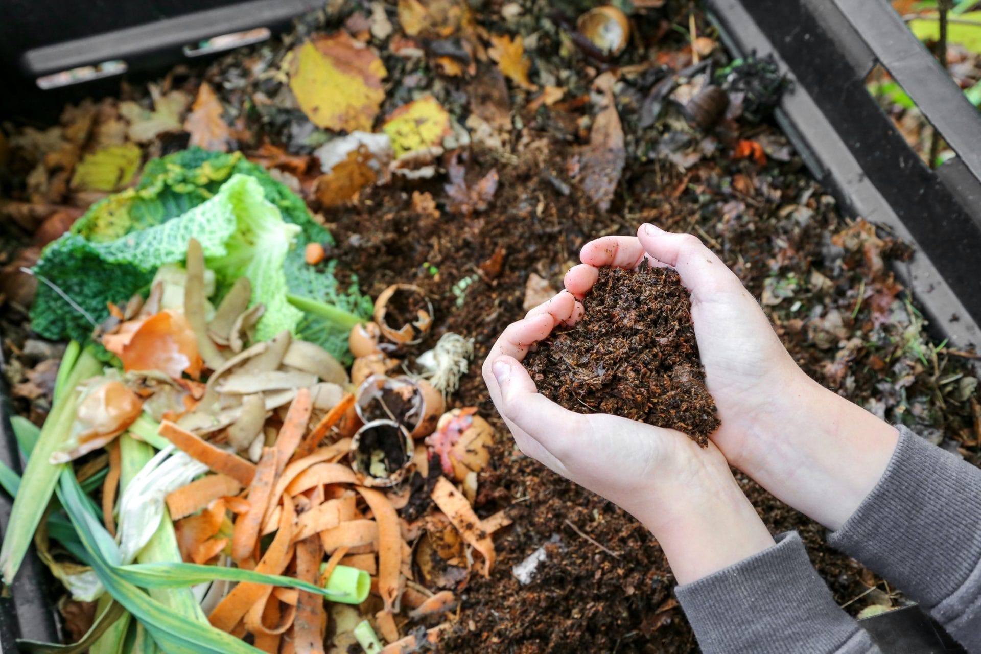 VitaLupa Smart Organic Composter